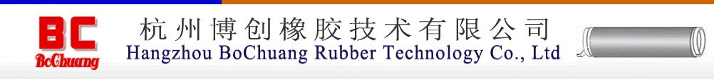 Hangzhou BoChuang Rubber Technology Co., Ltd